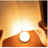 Фонарь OLIGHT OBULB MC BRICK RED 123138